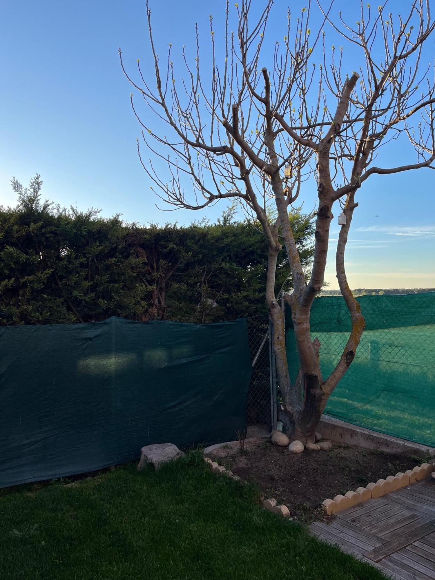 La Casa Del Cipres Villa Aldeamayor de San Martin Eksteriør bilde